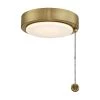 Antique Brass Ceiling Fan Dimmable LED Light Kit by FANIMATION