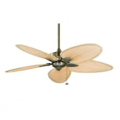 Windpointe 52 in. Antique Brass Ceiling Fan with Natural Narrow Oval Blades by FANIMATION