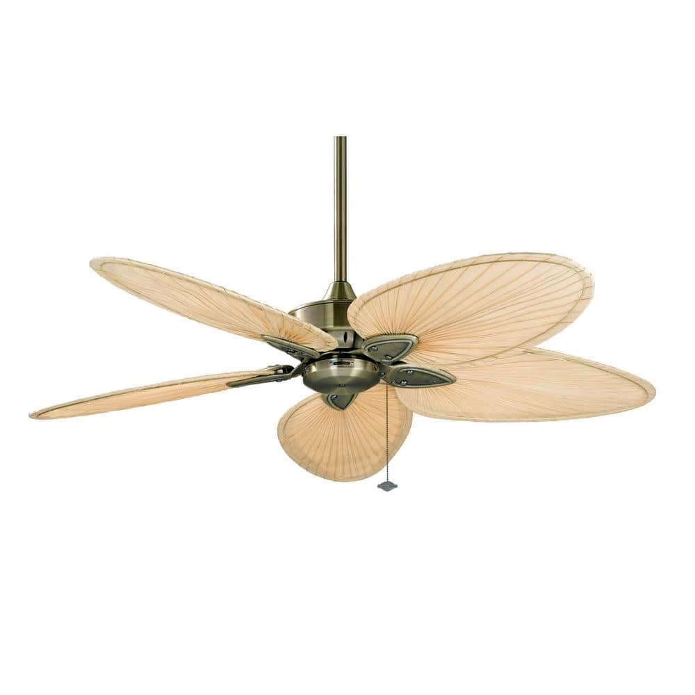 Windpointe 52 in. Antique Brass Ceiling Fan with Natural Narrow Oval Blades by FANIMATION 1 Windpointe 52 in. Antique Brass Ceiling Fan with Natural Narrow Oval Blades by FANIMATION