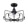 Influencer 22 in. Indoor Black Ceiling Fan with Light by FANIMATION