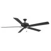 Edgewood 72 72 in. Indoor/Outdoor Black Ceiling Fan by FANIMATION