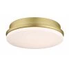 Kute Brushed Satin Brass Ceiling Fan Light Kit by FANIMATION