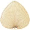 Natural Palm Fan Blades (5-Pack) by FANIMATION