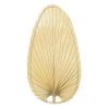 Natural Palm Fan Blades (5-Pack) by FANIMATION